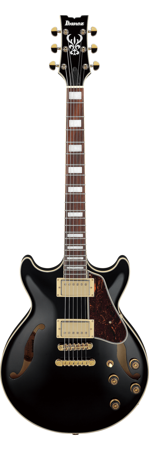 Electric Guitars in stock and ready to rock! – Twin Town Guitars