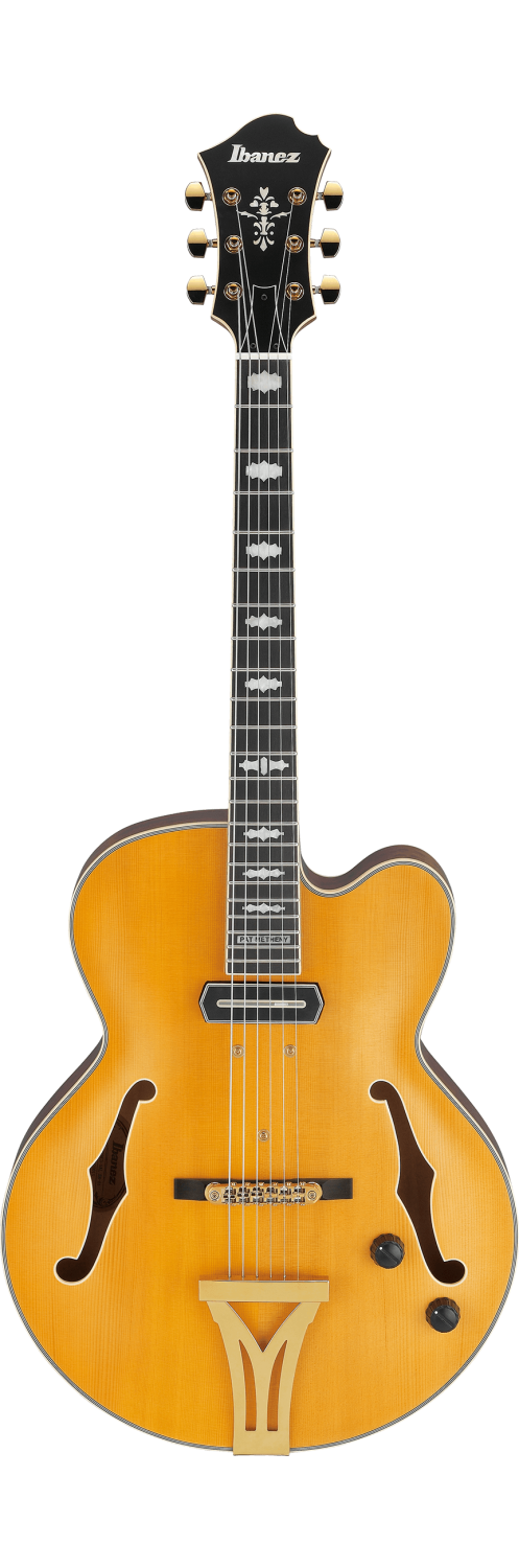 Electric Guitars in stock and ready to rock! – Twin Town Guitars