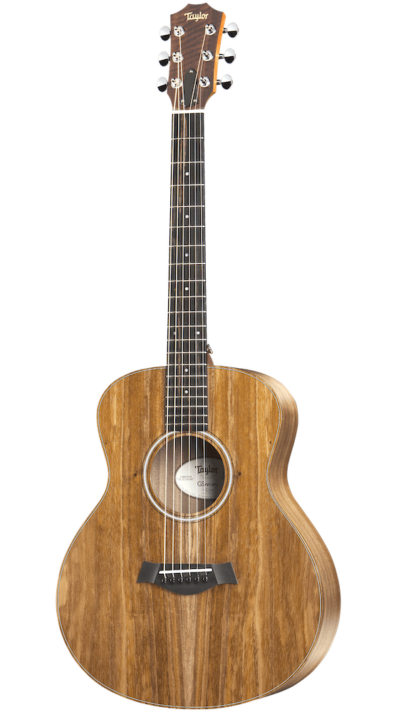 Taylor gs mini koa e hotsell