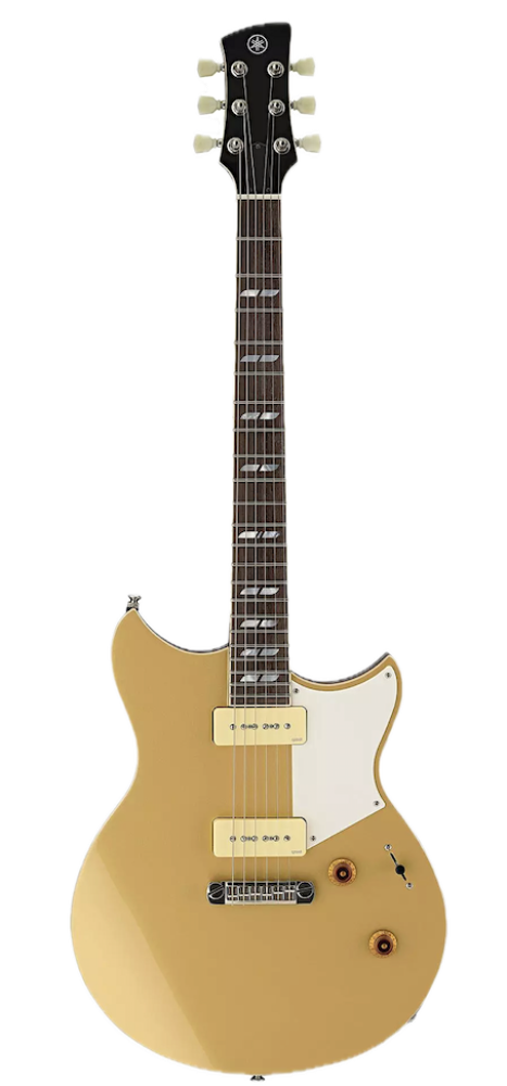 Electric Guitars in stock and ready to rock! – Page 3 – Twin Town