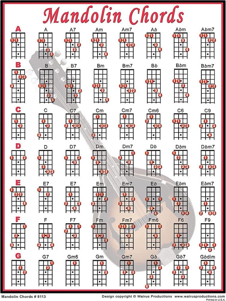 Walrus Productions 8113 Mandolin Chord Chart – Twin Town Guitars walrus-productions-8113-mandolin-chord-chart-twin-town-guitars